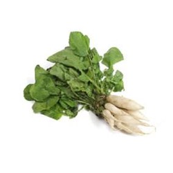 Show details for White radish Picture of White radish