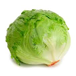 Show details for lettuce Picture of lettuce