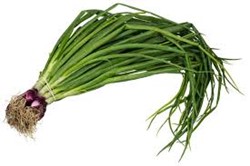 Show details for Green onion Picture of Green onion