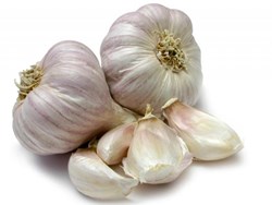 Show details for garlic Picture of garlic