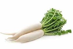Show details for White radish Picture of White radish