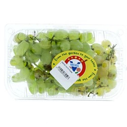 Show details for Grape KTV first class Picture of Grape KTV first class