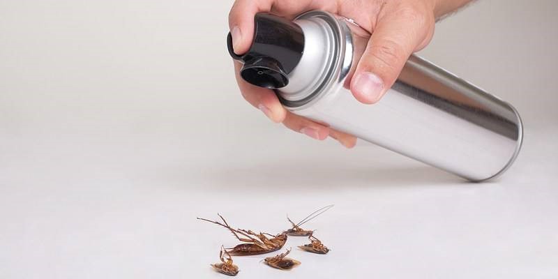 صورة للفئة مبيد حشرات