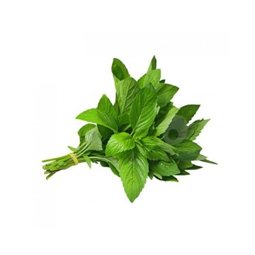 Picture of Moroccan mint
