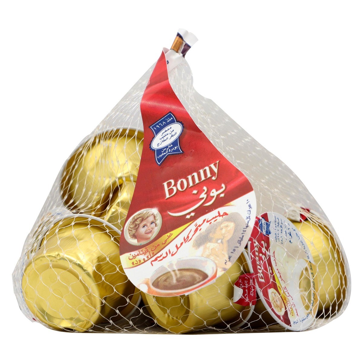 Picture of Bonny Evaporated Milk Full Cream 10 Pieces