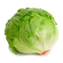 Picture of lettuce, Picture 1