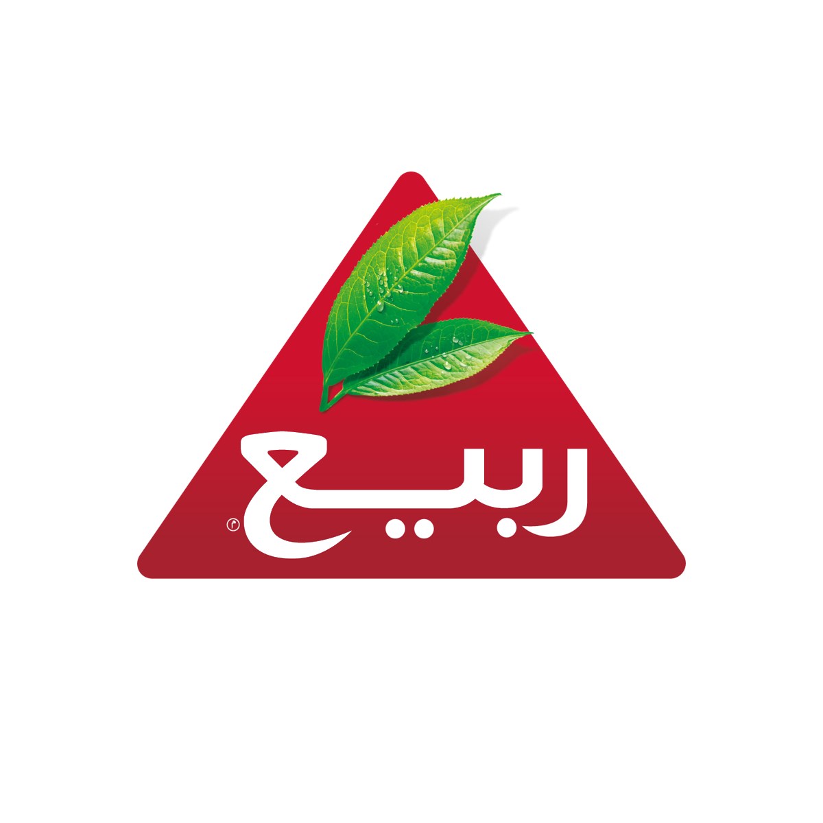 Picture for manufacturer ربيع