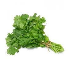 Picture of green coriander