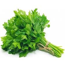 Picture of parsley