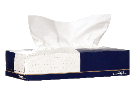 Picture of Kleenex Facial Tissue (100 Tissue)