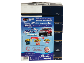 Picture of Kleenex Classic Facial Tissue (6 * 100 Tissue)